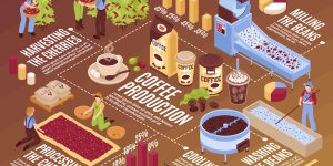 Coffee manufacturing