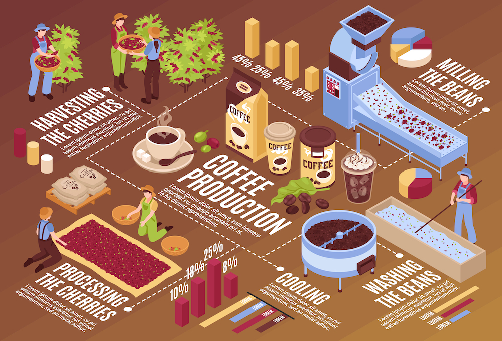 Coffee manufacturing